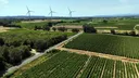 Canicule: l'économie et l'agriculture françaises paient le prix fort de la chaleur