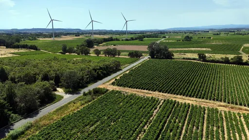 Canicule: l'économie et l'agriculture françaises paient le prix fort de la chaleur