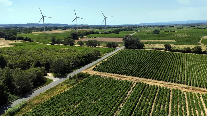 Canicule: l'économie et l'agriculture françaises paient le prix fort de la chaleur