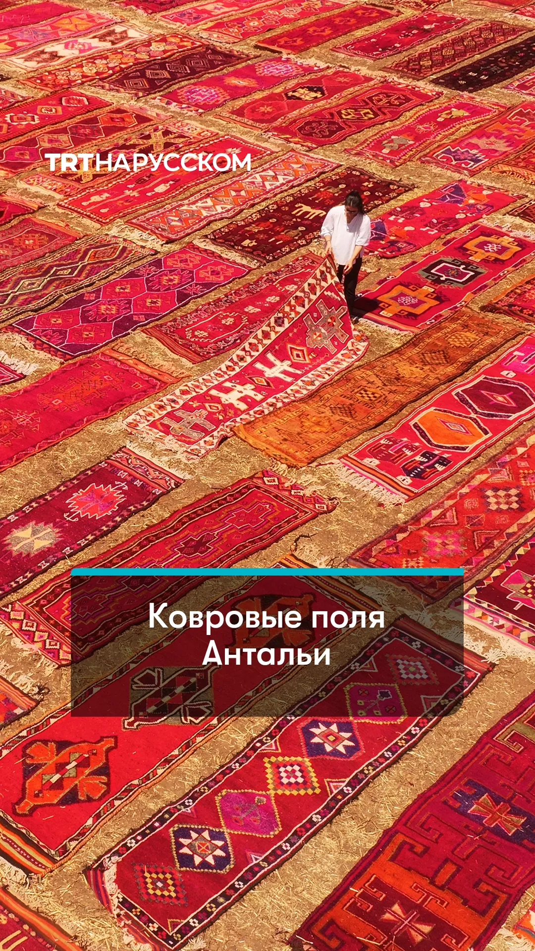 В Анталье фермерские поля превратили в гигантские ковровые холсты