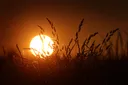 29,4 Grad gemessen - Rekord für wärmste Nacht in Deutschland