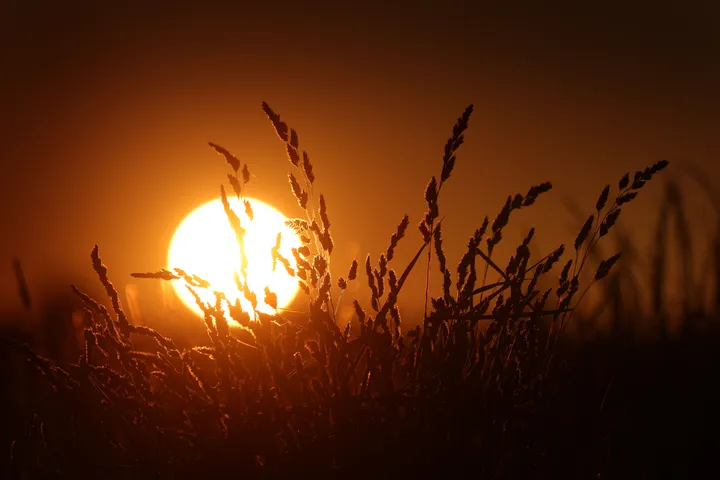 29,4 Grad gemessen - Rekord für wärmste Nacht in Deutschland
