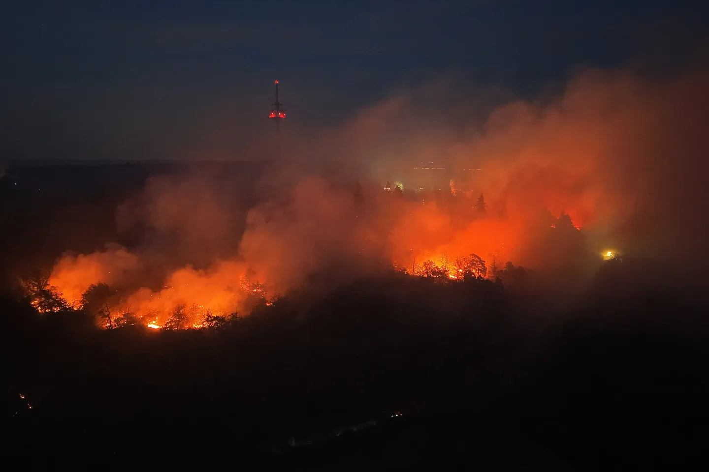 Landrätin: Großer Waldbrand in Rheinland-Pfalz „im Griff“