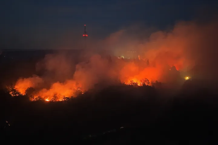 Landrätin: Großer Waldbrand in Rheinland-Pfalz „im Griff“
