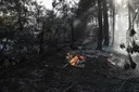 Número de mortos nos incêndios florestais na Grécia subiu para dois
