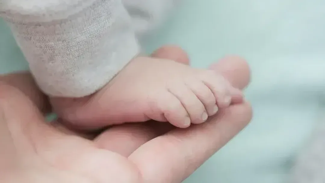 Gjermania shënon nivelin më të ulët të lindshmërisë në gati 3 dekada