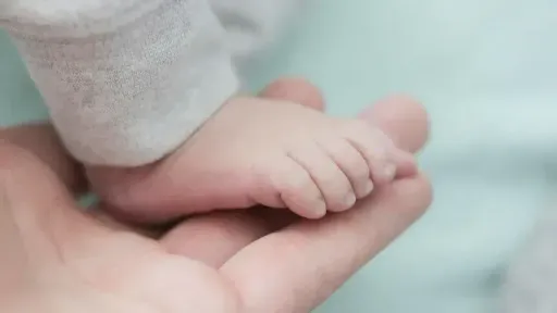 Gjermania shënon nivelin më të ulët të lindshmërisë në gati 3 dekada