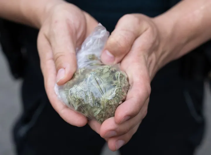 RKI: Cannabiskonsum bei jungen Männern steigt weiter an