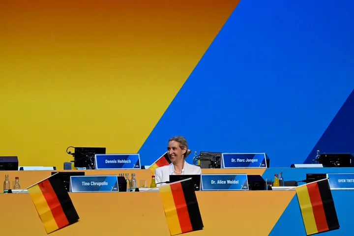 Apoio ao partido de extrema-direita AfD na Alemanha sobe para 30%