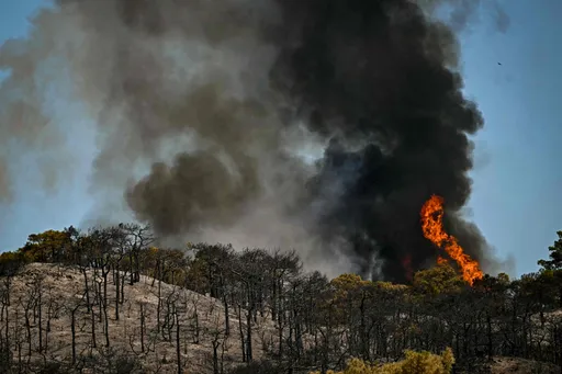 10.000 Menschen fliehen vor Flammen in Südfrankreich