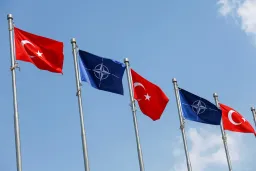 Türkiye y la OTAN: entre la fuerza militar y la autonomía estratégica