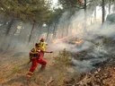 Instituti i Gjeoshkencës në Shqipëri paralajmëron rrezik të lartë zjarresh në disa qarqe