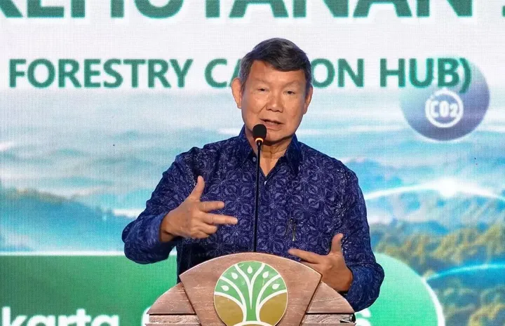 Pemerintah Indonesia siapkan 1,4 juta hektare hutan untuk masyarakat adat dalam skema karbon