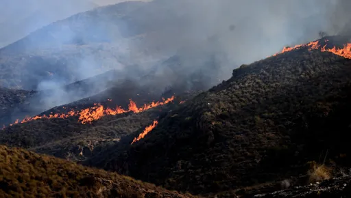 España combate el mayor incendio de su historia reciente, mientras Sánchez pide un pacto climático