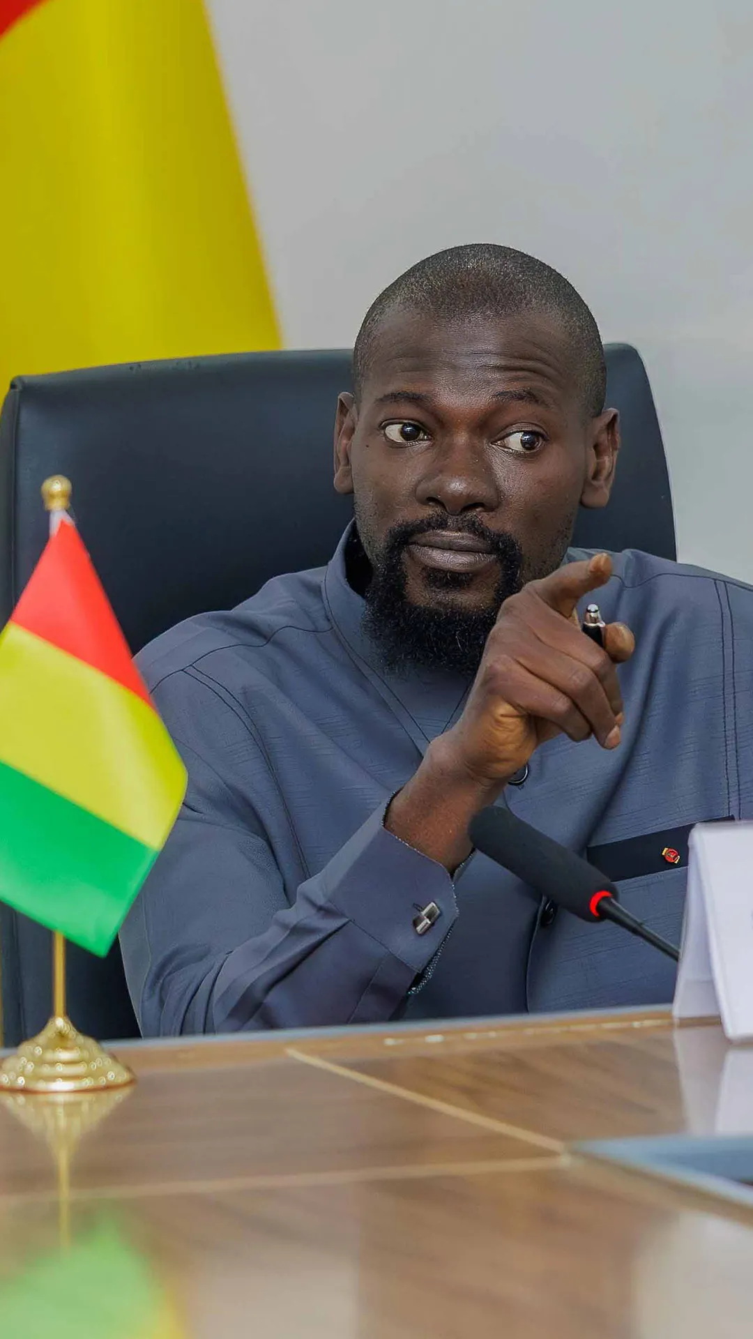 Les enjeux des réformes minières en Guinée