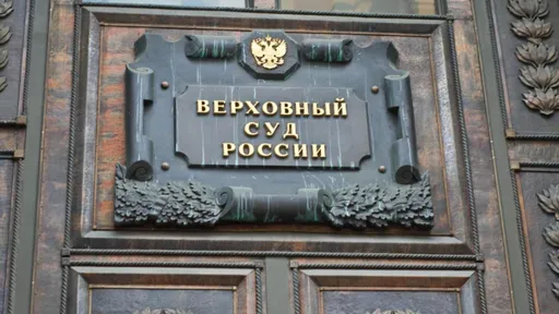 Число приговоров за сотрудничество с «нежелательными» организациями в РФ выросло почти в восемь раз