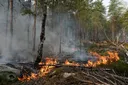 France battles spreading wildfires as nearly 1,900 hectares burn