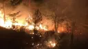 Algérie : les incendies de forêt prennent une ampleur funeste dans l'est du pays