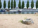 Europa zou ervoor moeten zorgen dat Nederland voldoende water krijgt van de landen stroomopwaarts
