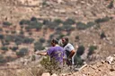 UN chief 'deeply alarmed' as Israel grants occupied West Bank settlement city status