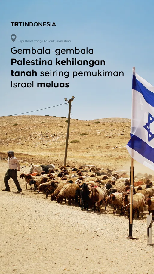 Gembala-gembala Palestina kehilangan tanah seiring pemukiman Israel meluas