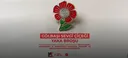 Türkiye unveils commemorative pin to mark 10th anniversary of July 15 defeated coup attempt