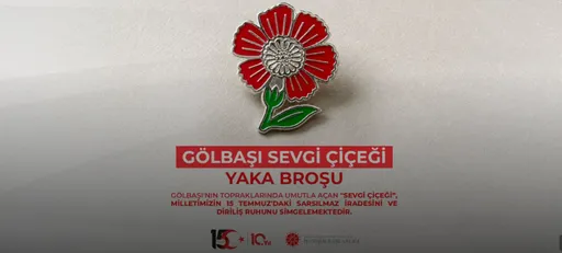 Türkiye unveils commemorative pin to mark 10th anniversary of July 15 defeated coup attempt
