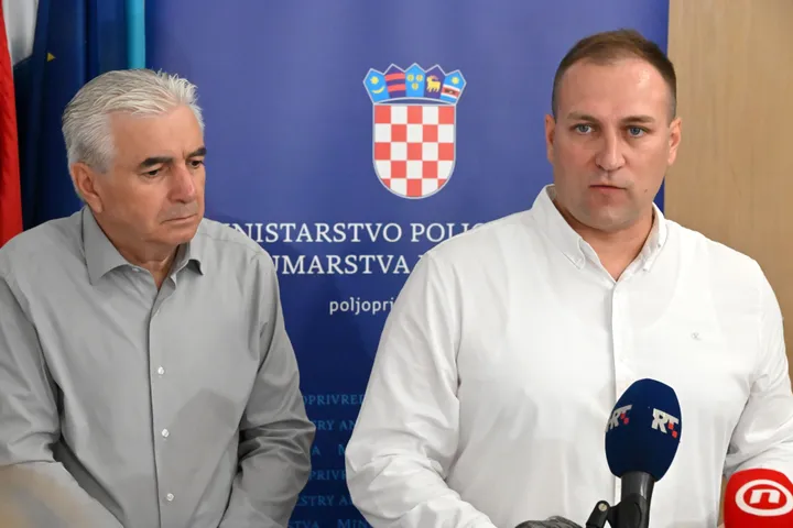 Potvrđeno izbijanje svinjske kuge na 89 farmi u Hrvatskoj