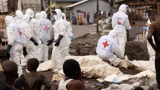 Au moins 114 civils tués dans l'est de la RDC en juin
