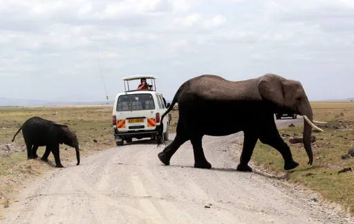 Shirikisho la Utalii Kenya lapinga wito wa Gachagua kwa watalii kutoitembelea nchi hiyo