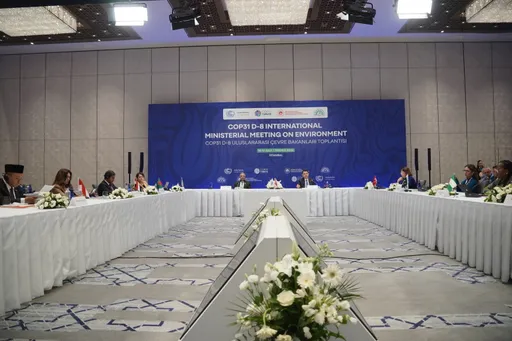 Indonesia dan D-8 dorong persatuan kepentingan iklim global jelang COP31 di Türkiye