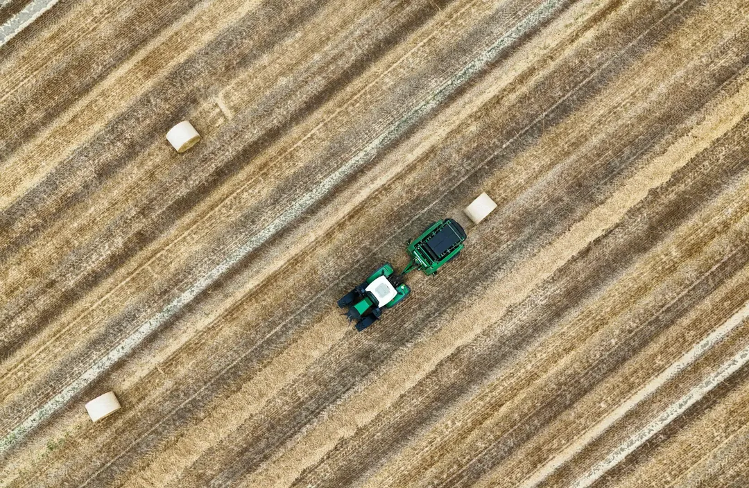 Bauernverband befürchtet teils totalen Ernteausfall