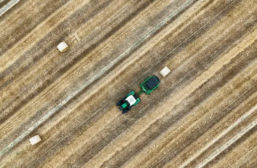 Bauernverband befürchtet teils totalen Ernteausfall
