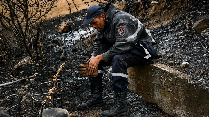 Algérie : 127 incendies maîtrisés en 24 heures