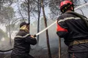 Algérie: 12 morts après des incendies dans le nord-est du pays