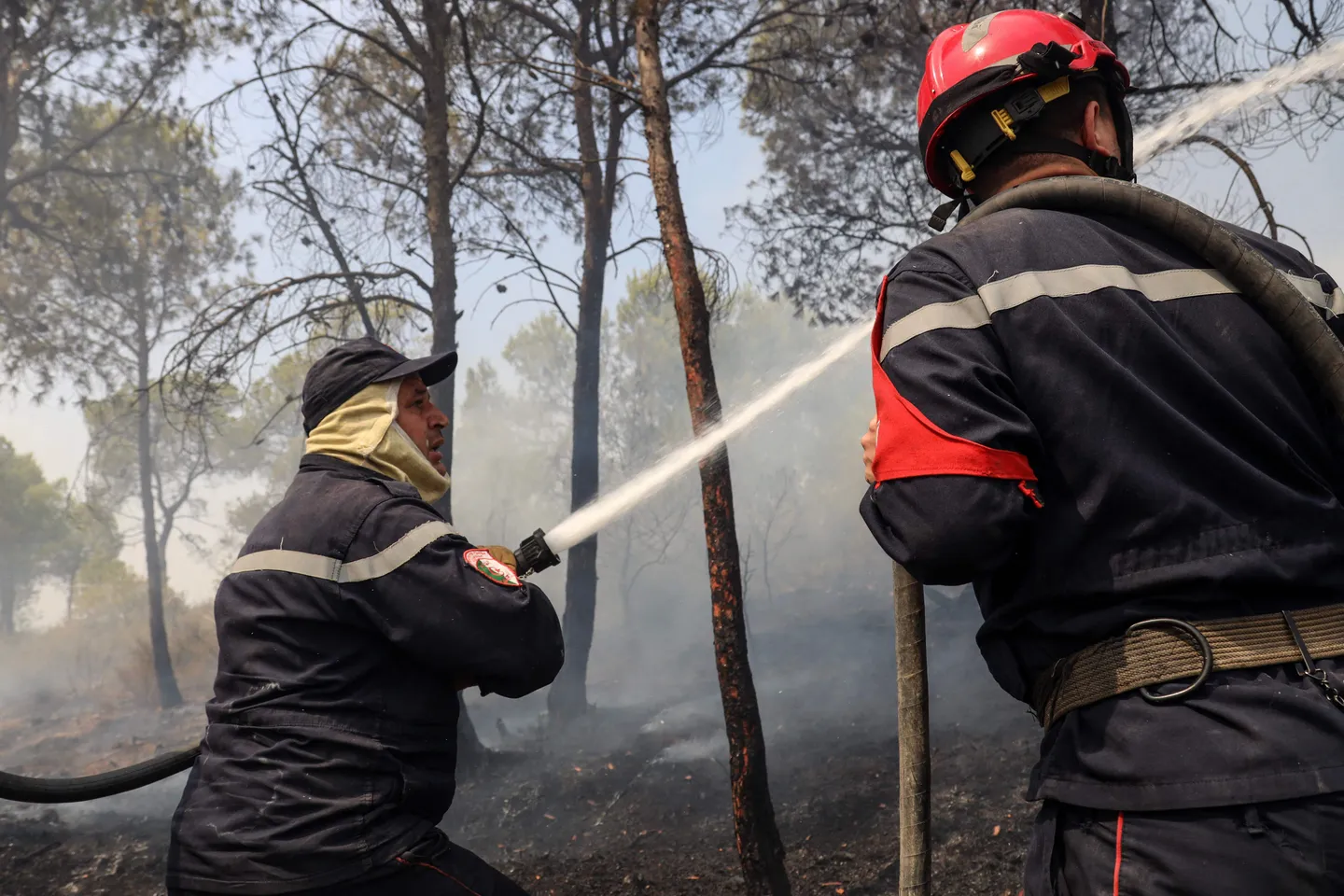 Algérie: 12 morts après des incendies dans le nord-est du pays