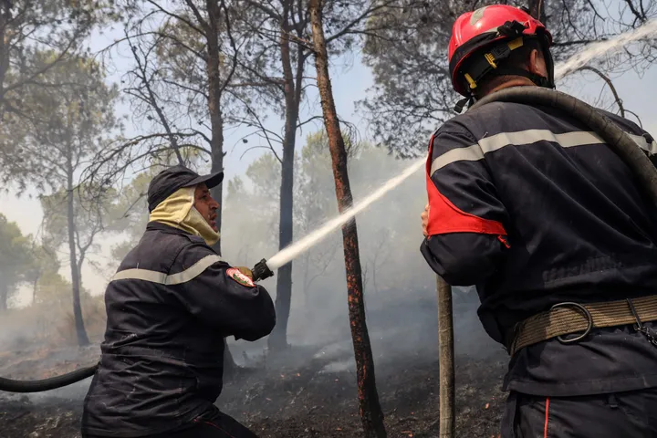 Algérie: 12 morts après des incendies dans le nord-est du pays