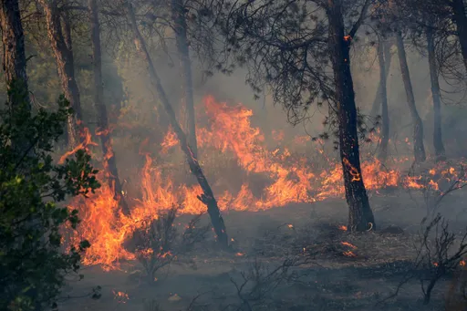 More than 100 people hospitalised, 150 homes damaged in Algeria fires