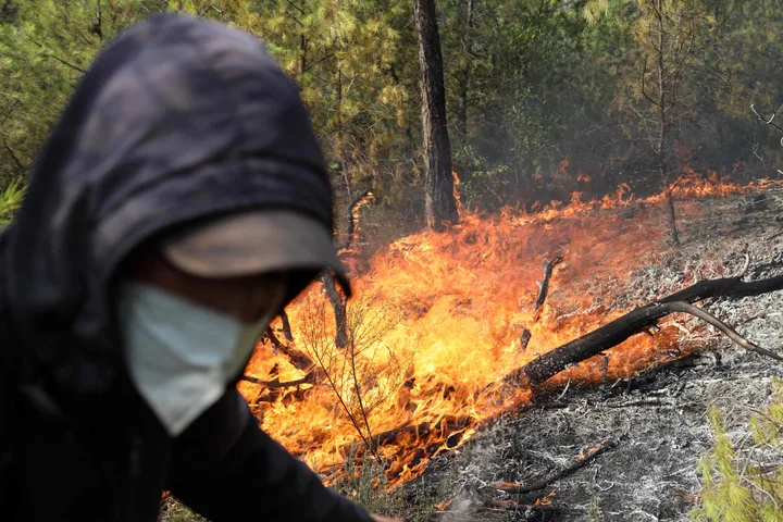 Algérie : au moins 58 incendies déclarés dans la vague de chaleur que connait le pays