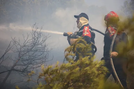 Algérie: évacuation des habitants d'Annaba face à la menace des feux de forêt