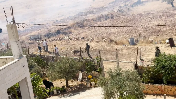 הולנד אוסרת יבוא מההתנחלויות בגדה המערבית החל מספטמבר