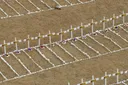Число жертв землетрясений в Венесуэле превысило 5,3 тысячи