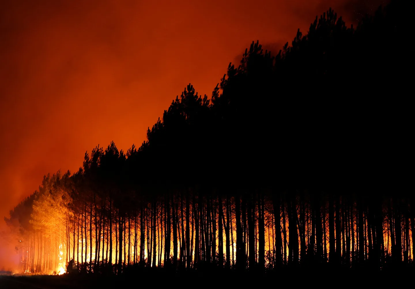 France evacuates over 10,000 people as wildfire spreads near Bordeaux