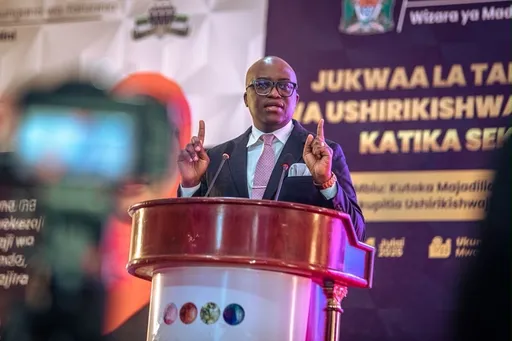 Tanzania kuongeza ushiriki wa wazawa katika sekta ya madini