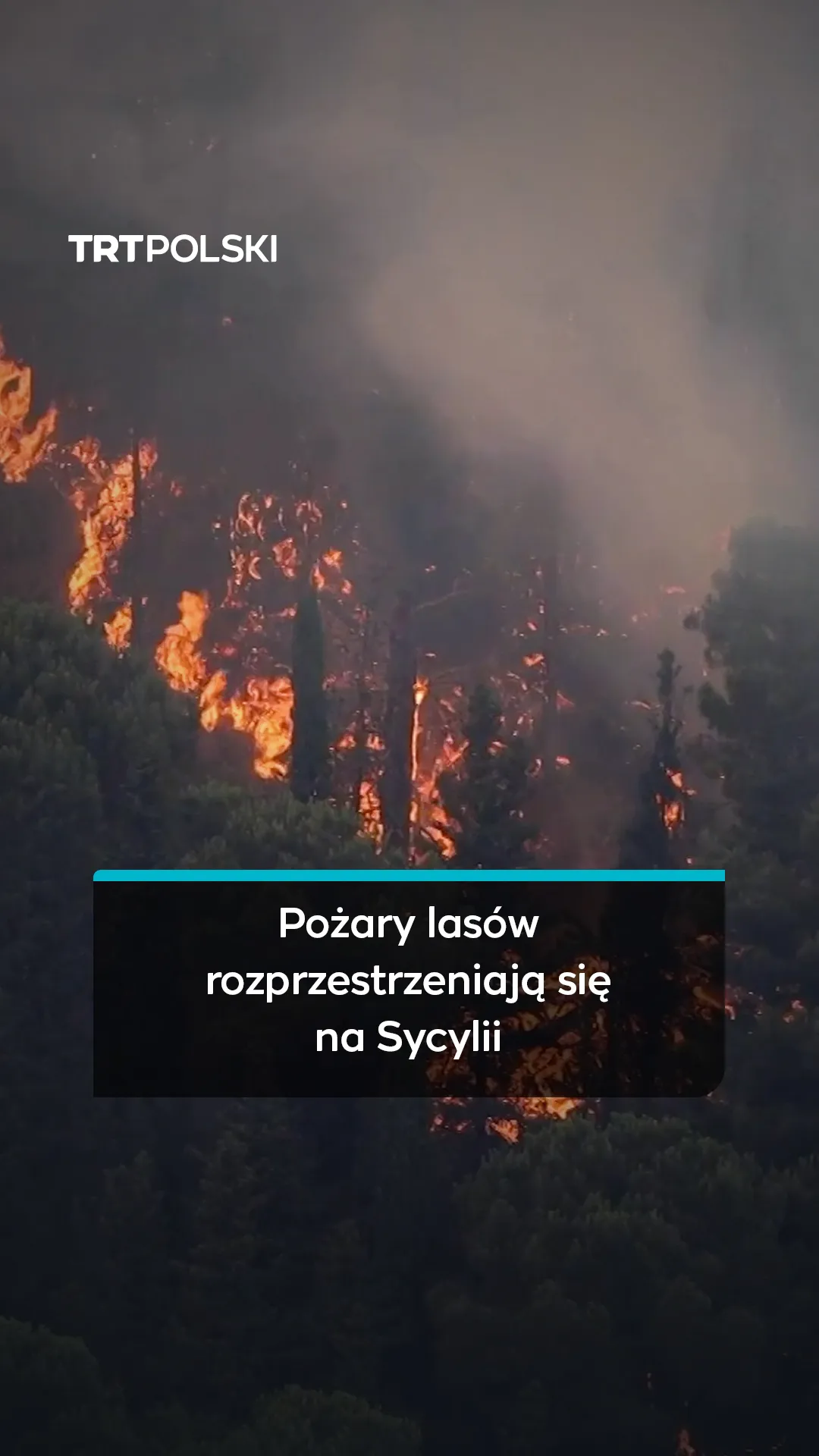Sycylia walczy z pożarami lasów napędzanymi silnym wiatrem, zagrożone są domy