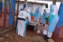 Le bilan de l'épidémie d'Ebola dépasse les 1 000 morts en RD Congo