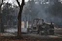 Францию накрыл крупнейший в истории сезон лесных пожаров