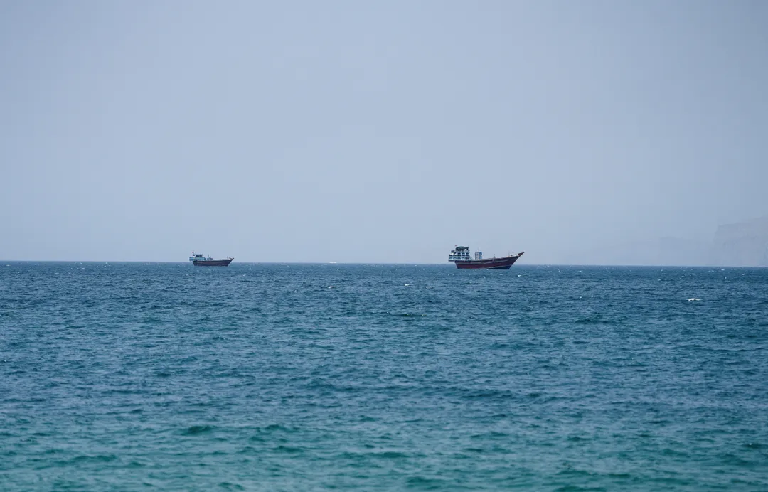 Gulf states back Oman's plan for voluntary Hormuz fees