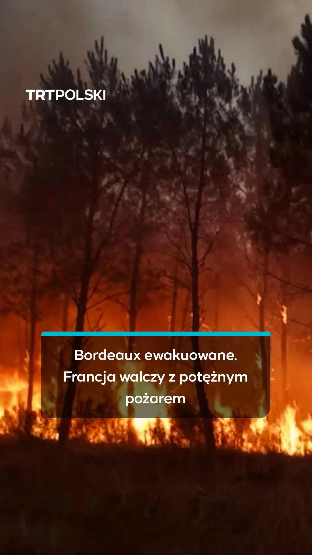 220 tysięcy osób ewakuowanych. Pożar we Francji zbliża się do Bordeaux