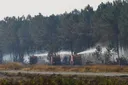 France heatwave threatens to reignite major wildfire near Bordeaux